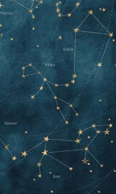 Constellated (Blank Lined Journal) from Bushel & Peck Books - Harry Hartog gift idea