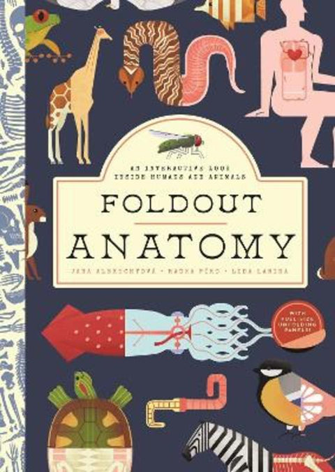 Foldout Anatomy by Jana Albrechtova - 9781638191292