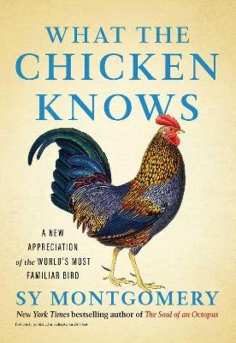 What the Chicken Knows by Sy Montgomery - 9781668047361