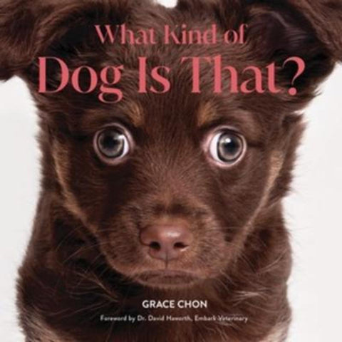 What Kind of Dog Is That? by Grace Chon - 9781682689646