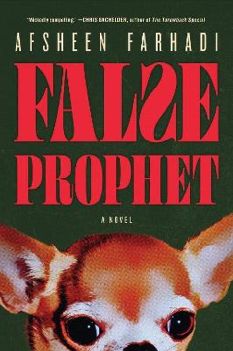 False Prophet by Afsheen Farhadi - 9781685892418
