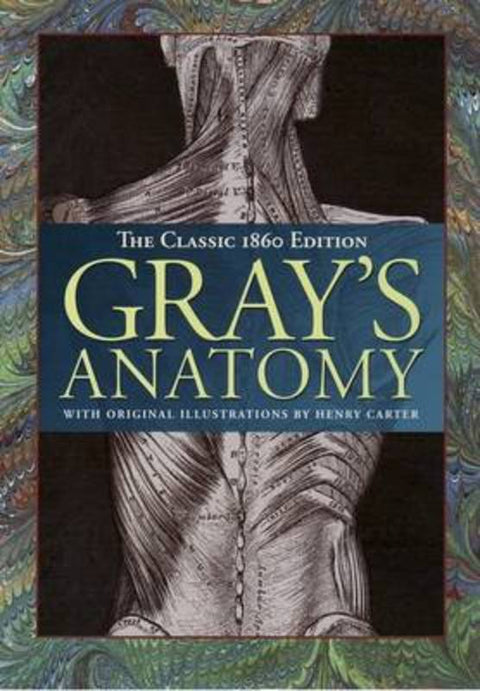 Gray's Anatomy by Henry CARTER - 9781741827064