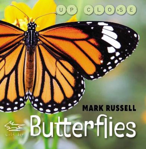 Butterflies from Wild Dog Books - Harry Hartog gift idea