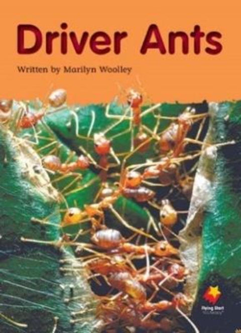 Driver Ants by Woolley - 9781742341262