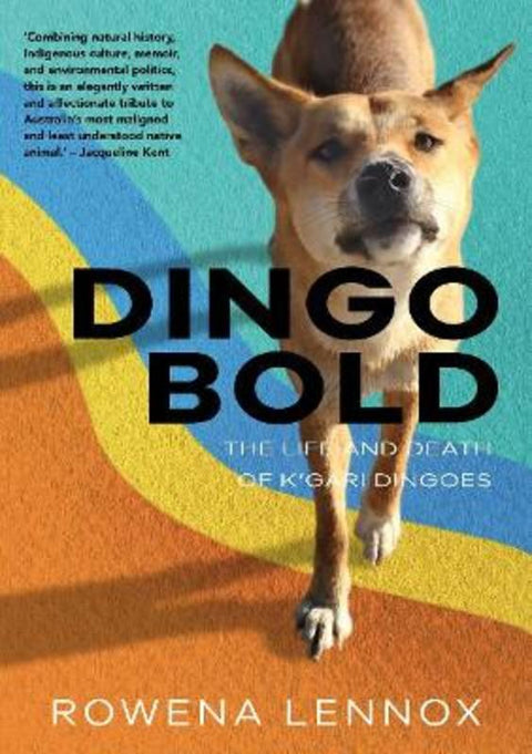 Dingo Bold by Rowena Lennox - 9781743327319