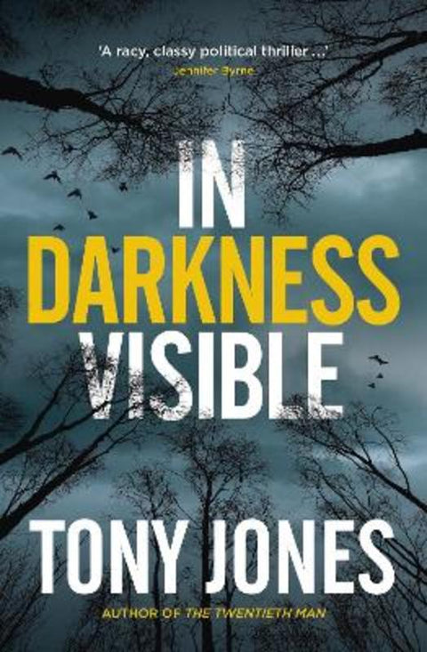 In Darkness Visible by Tony Jones - 9781760295011