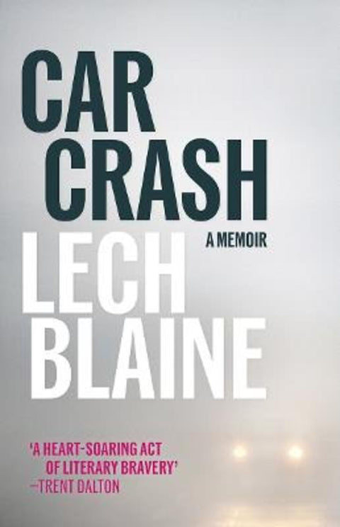 Car Crash from Lech Blaine - Harry Hartog gift idea