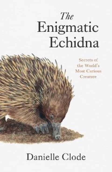 The Enigmatic Echidna by Danielle Clode - 9781760645328