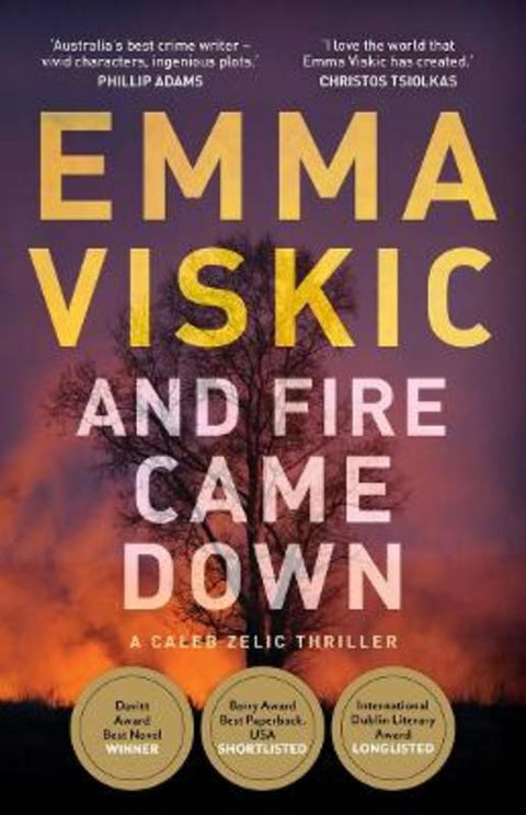 And Fire Came Down by Emma Viskic - 9781760688172
