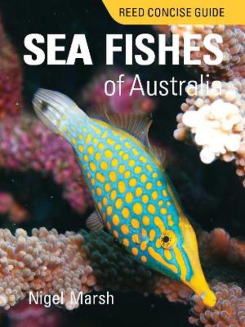 Reed Concise Guide Sea Fishes of Australia by Nigel Marsh - 9781760796310