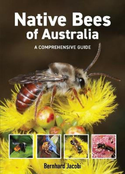 Native Bees of Australia by Bernhard Jacobi - 9781760796372