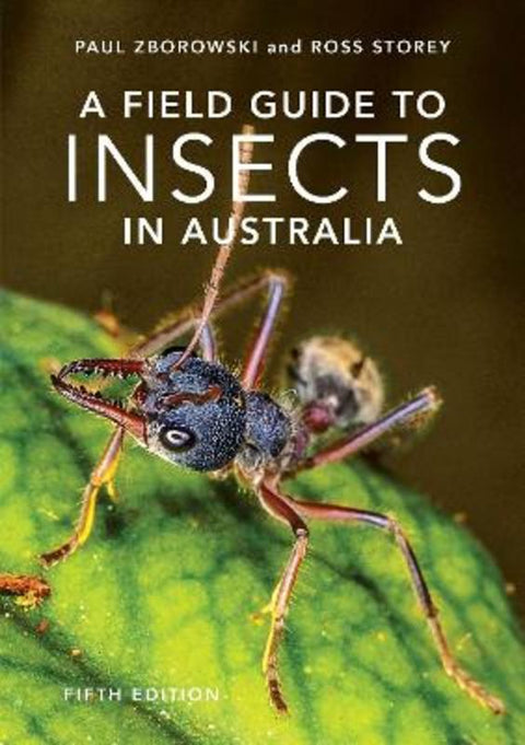 A Field Guide to Insects of Australia by Paul Zborowski - 9781760796402