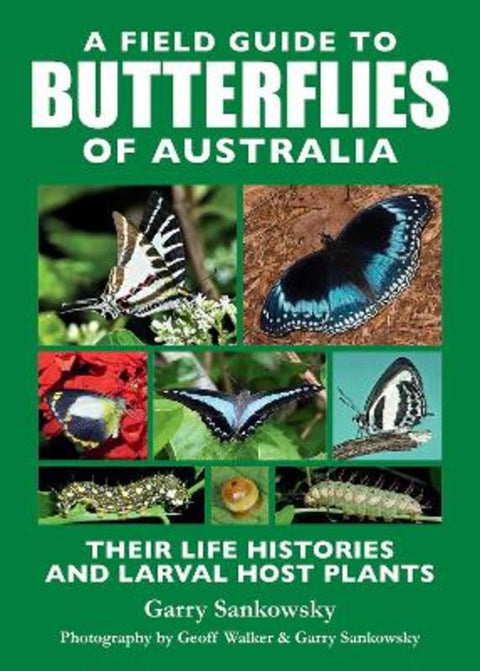 A Field Guide to Butterflies of Australia by Garry Sankowsky - 9781760796884