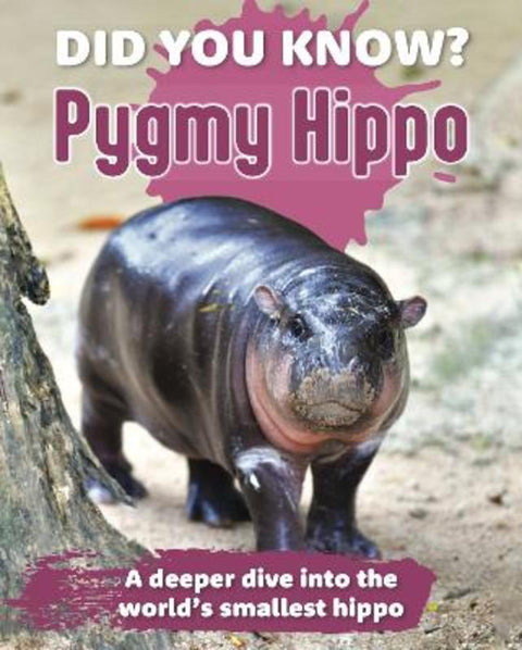 Did You Know? Pygmy Hippo from Young Reed New Holland - Harry Hartog gift idea