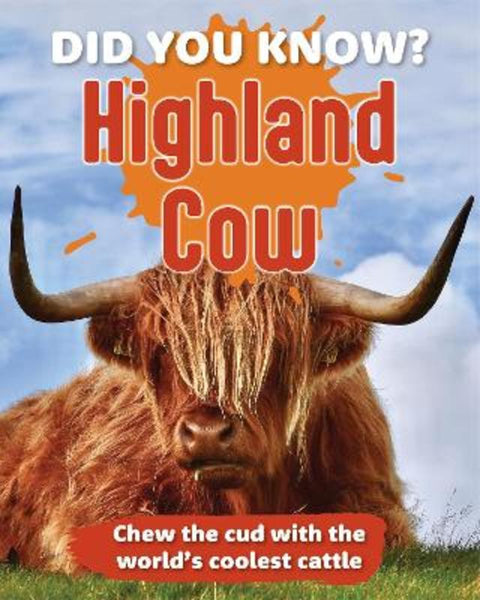 Did You Know? Highland Cow from Young Reed - Harry Hartog gift idea