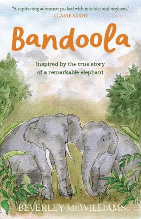 Bandoola by Beverley McWilliams - 9781760803377