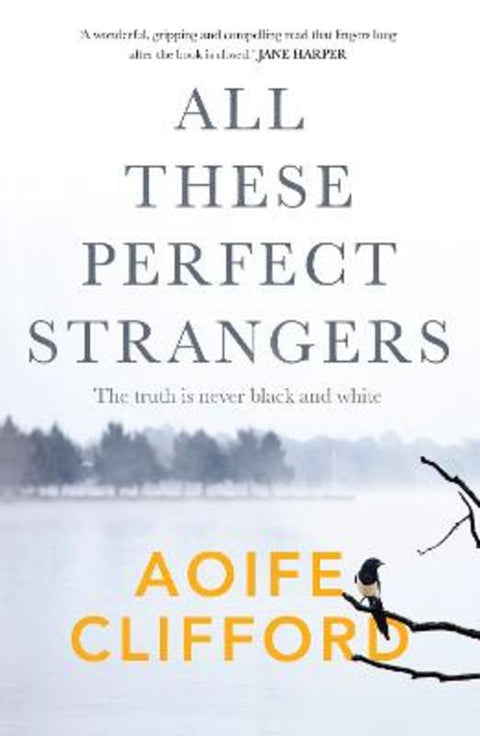 All These Perfect Strangers by Aoife Clifford - 9781761152405