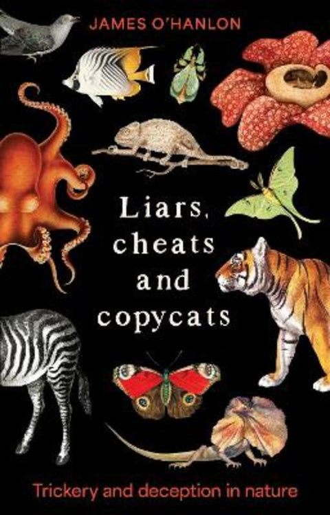 Liars, cheats and copycats by James O'Hanlon - 9781761170171