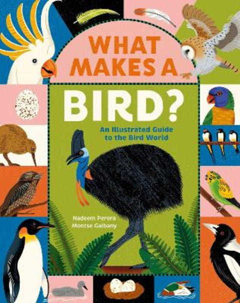 What Makes a Bird?: An Illustrated Guide to the Bird World from Nadeem Perera - Harry Hartog gift idea
