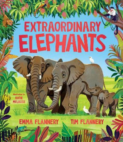 Extraordinary Elephants from Tim Flannery - Harry Hartog gift idea