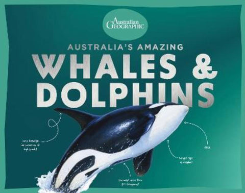 Australia's Amazing Whales and Dolphins from Australian Geographic - Harry Hartog gift idea