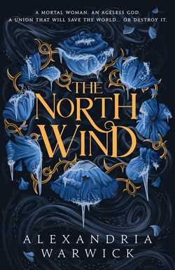The North Wind by Alexandria Warwick - 9781761426018