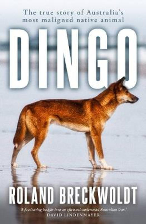 Dingo by Roland Breckwoldt - 9781761471179
