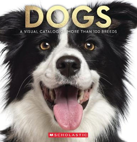 Dogs: A Visual Catalog Of More Than 100 Breeds from Miranda Willis - Harry Hartog gift idea