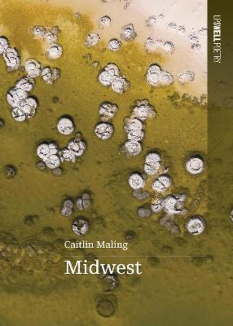 Midwest by Caitlin Maling - 9781764239721