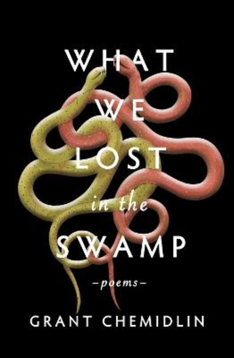 What We Lost in the Swamp by Grant Chemidlin - 9781771682893