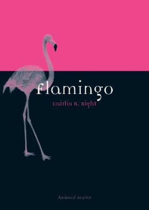 Flamingo by Caitlin R. Kight - 9781780234250