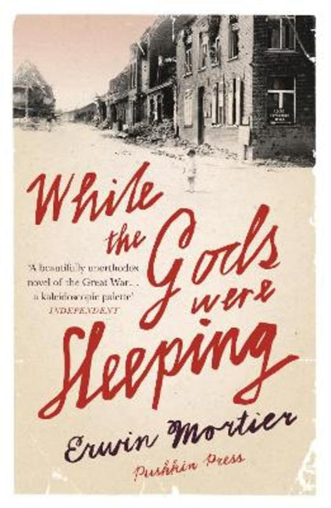 While the Gods Were Sleeping by Erwin Mortier (Author) - 9781782270799