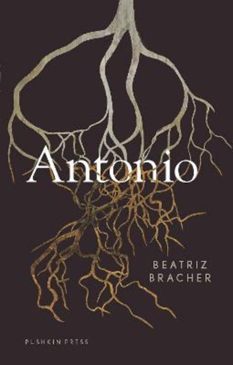 Antonio by Beatriz Bracher - 9781782277873