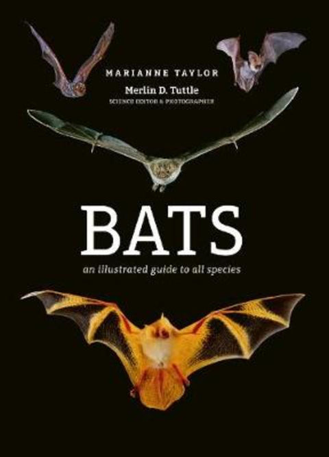 Bats by Marianne Taylor - 9781782405573