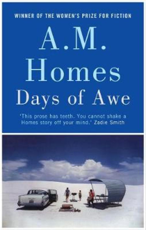 Days of Awe by A.M. Homes - 9781783784820