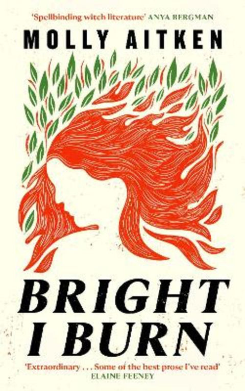 Bright I Burn by Molly Aitken - 9781786898388