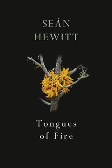 Tongues of Fire by Sean Hewitt - 9781787332263