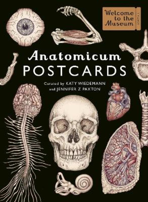Anatomicum Postcard Box from Katy Wiedemann - Harry Hartog gift idea