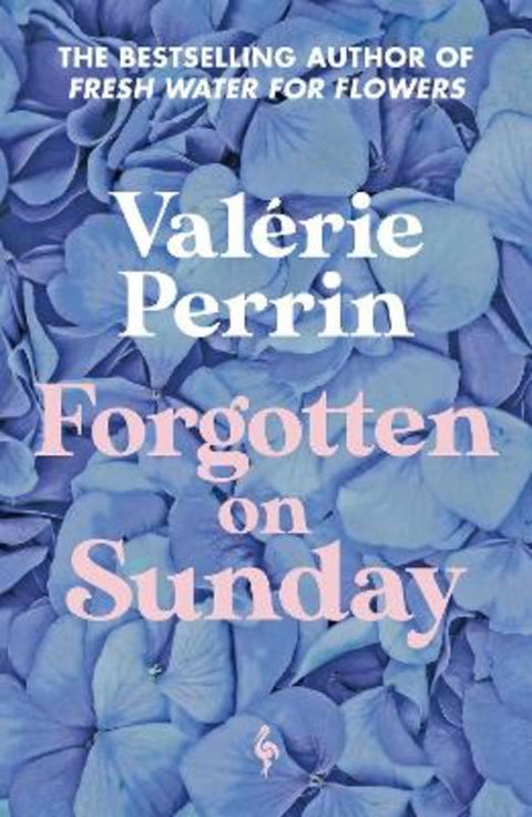 Forgotten on Sunday by Valerie Perrin - 9781787705272