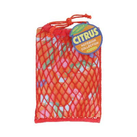 Paper Produce Citrus Notebook Collection from Chronicle Books - Harry Hartog gift idea