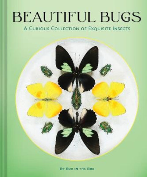 Beautiful Bugs by Bug in the Box - 9781797243047