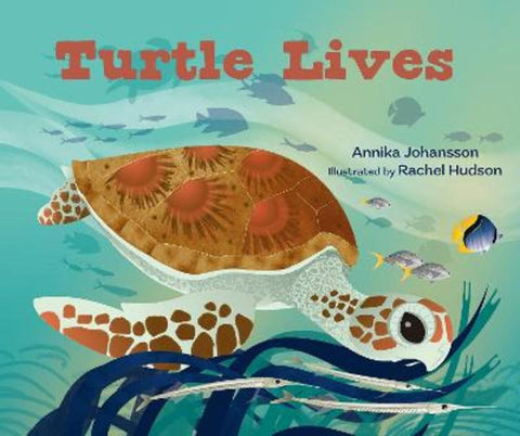 Turtle Lives by Annika Johansson - 9781800360938
