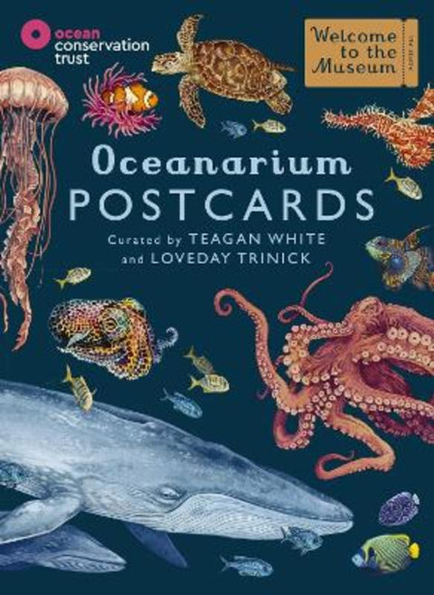 Oceanarium Postcards by Loveday Trinick - 9781800783591