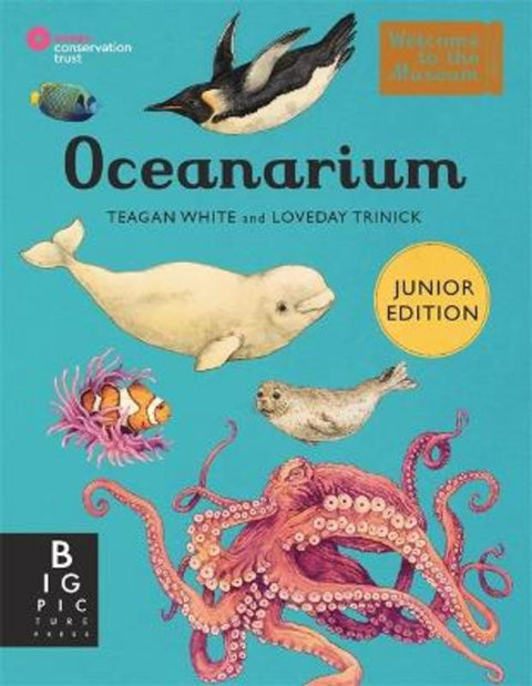 Oceanarium (Junior Edition) from Teagan White - Harry Hartog gift idea