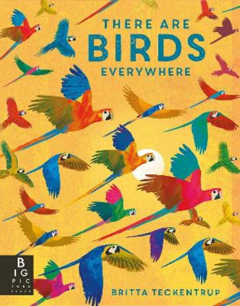 There are Birds Everywhere by Britta Teckentrup - 9781800786585