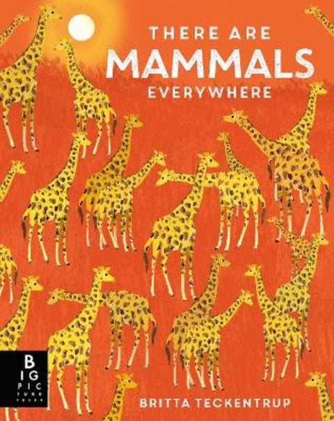 There are Mammals Everywhere from Camilla De La Bedoyere - Harry Hartog gift idea