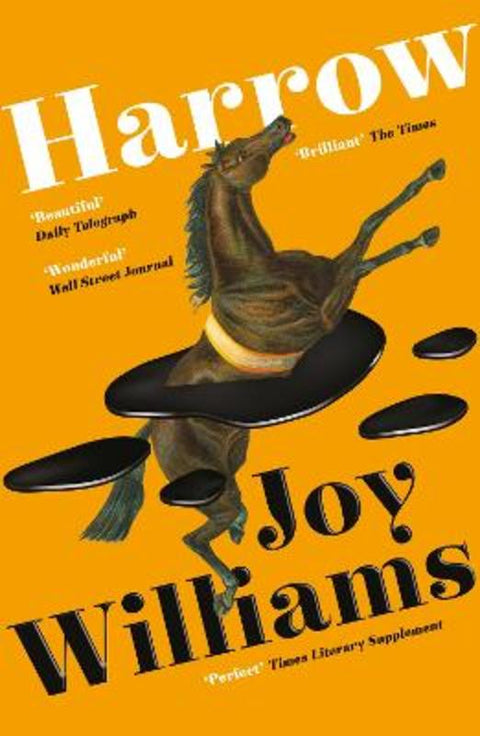 Harrow by Joy Williams - 9781800810020
