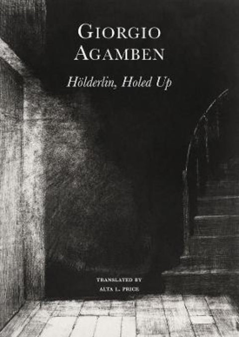 Hoelderlin's Madness - Chronicle of a Dwelling Life, 1806-1843 by Giorgio Agamben - 9781803091150