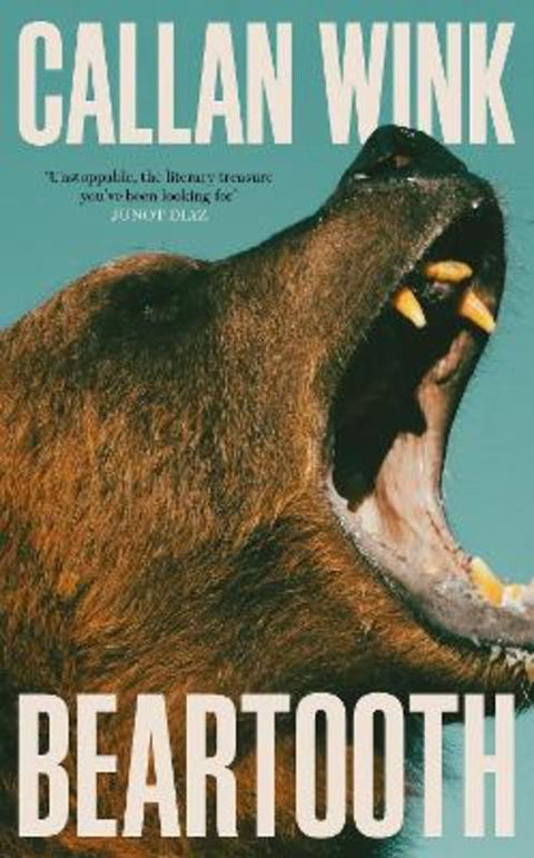 Beartooth by Callan Wink - 9781803510965