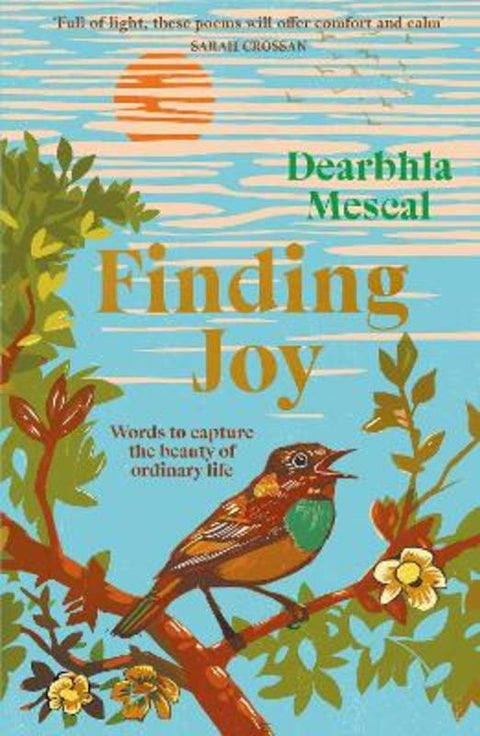 Finding Joy by Dearbhla Mescal - 9781804442876